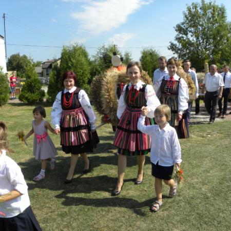 Wyświetl org. rozmiar