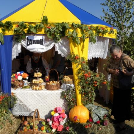 Wyświetl org. rozmiar