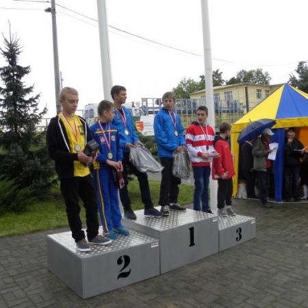 Wyświetl org. rozmiar