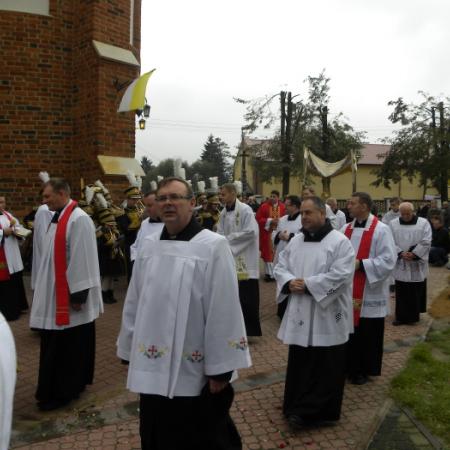 Wyświetl org. rozmiar