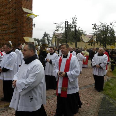 Wyświetl org. rozmiar