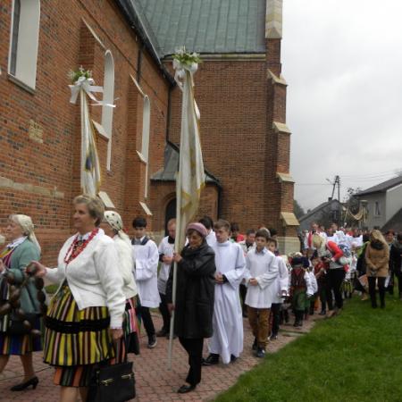 Wyświetl org. rozmiar