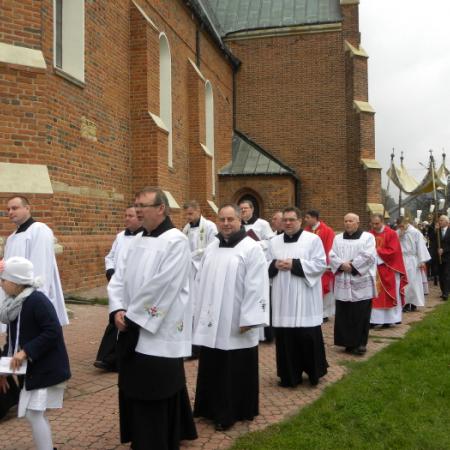 Wyświetl org. rozmiar