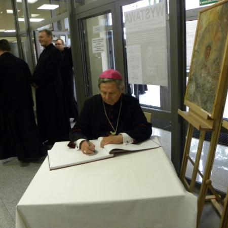 Wyświetl org. rozmiar