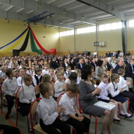 Wyświetl org. rozmiar