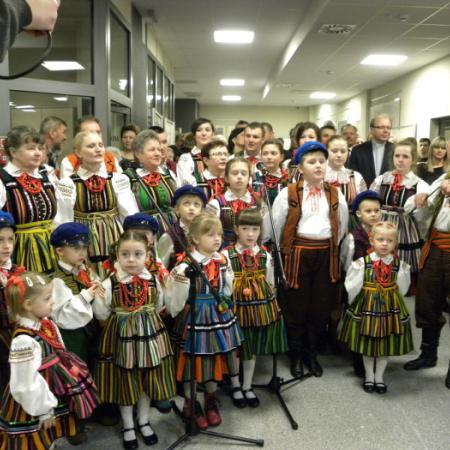 Wyświetl org. rozmiar
