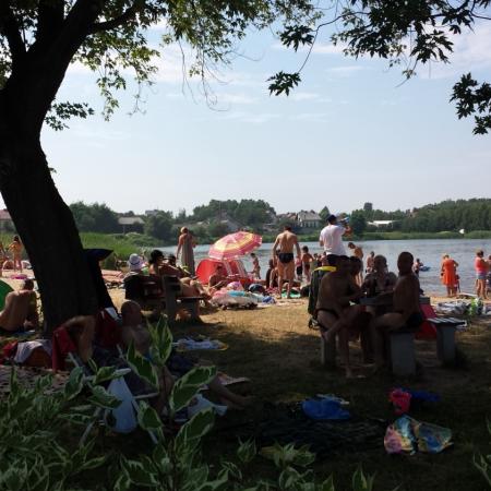 Wyświetl org. rozmiar