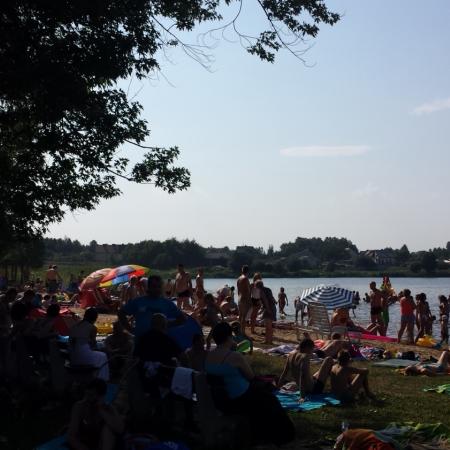 Wyświetl org. rozmiar