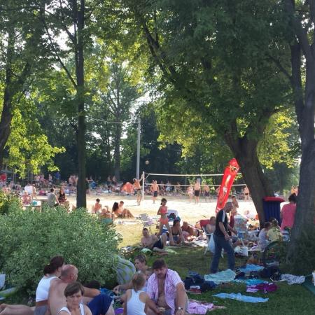 Wyświetl org. rozmiar