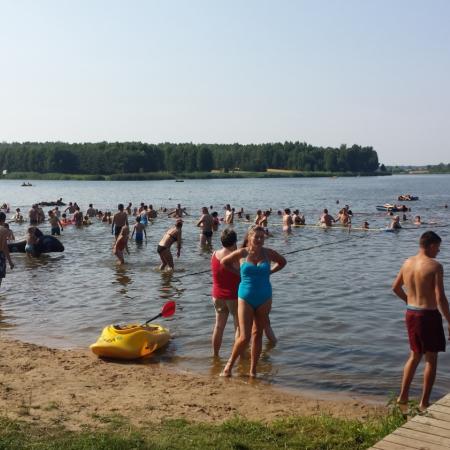 Wyświetl org. rozmiar