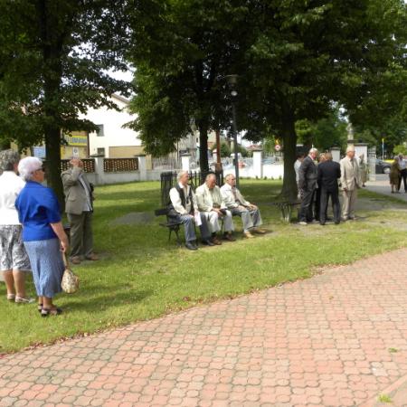 Wyświetl org. rozmiar