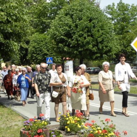 Wyświetl org. rozmiar