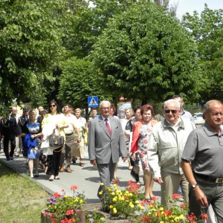 Wyświetl org. rozmiar