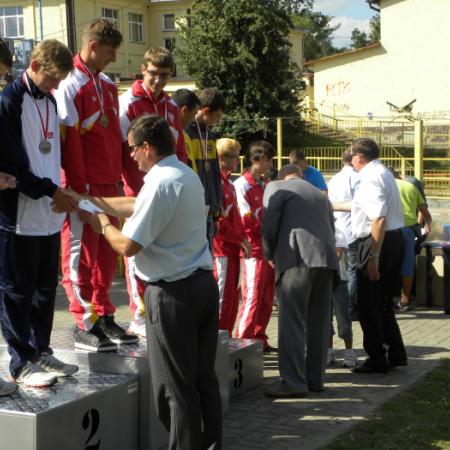 Wyświetl org. rozmiar